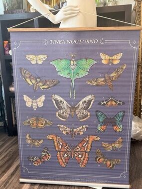 Tinea Nocturno Botanical Moth Wall Hanging - new, unused